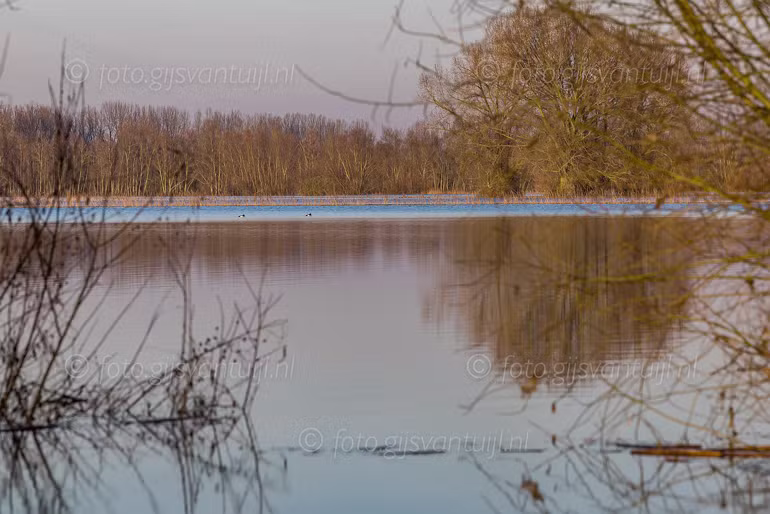 _R3_7323