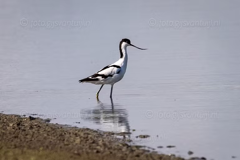 _R5_8713
