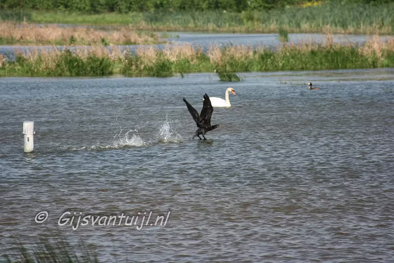 IMG_0521