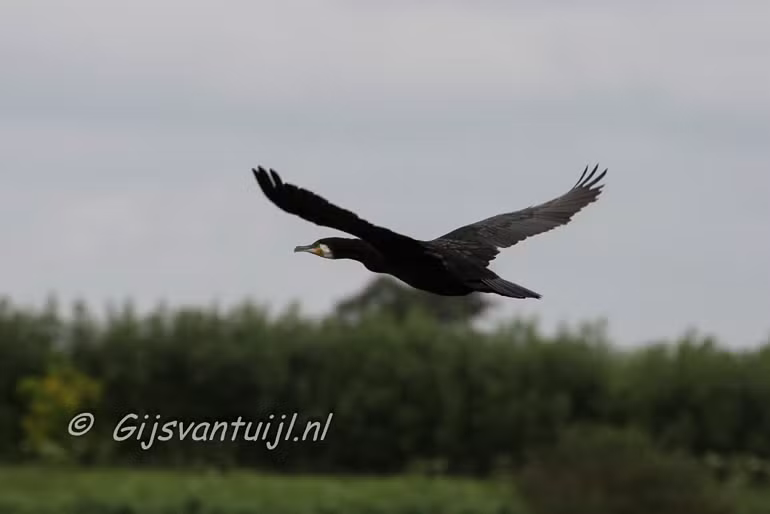 IMG_5261