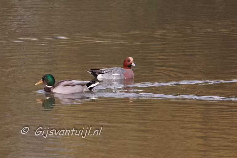 IMG_0640