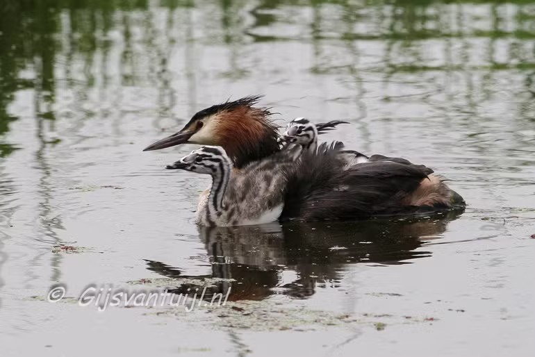 IMG_4592