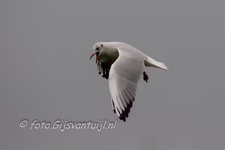 IMG_5721
