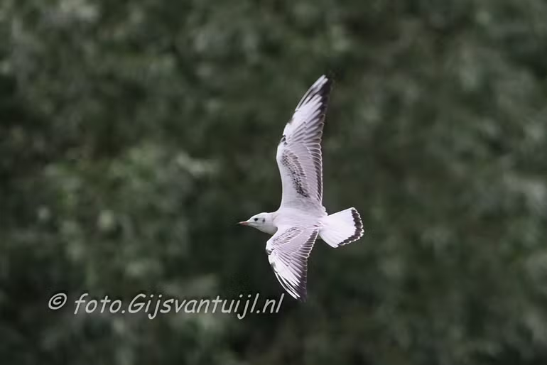 IMG_5766