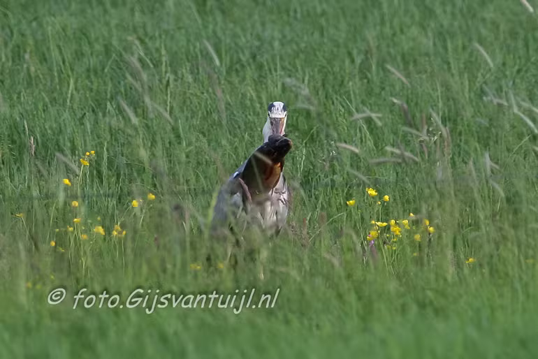 IMG_1828