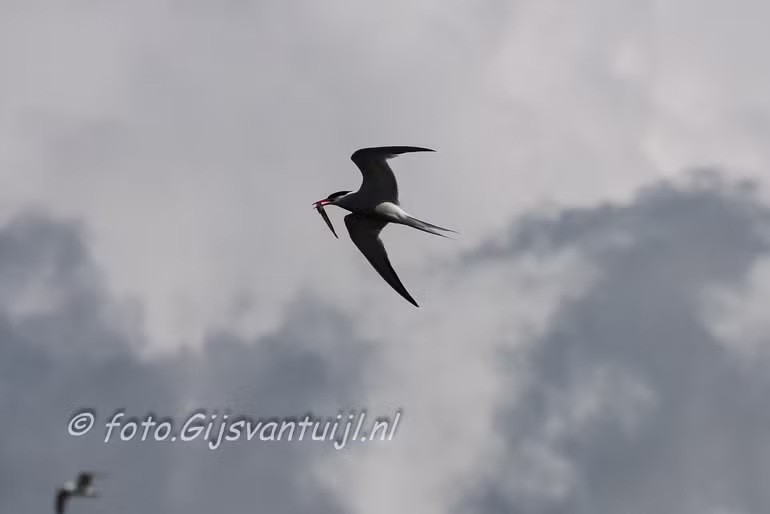 IMG_5098